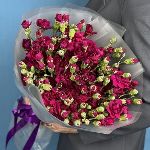 51 фиолетовая кустовая гвоздика