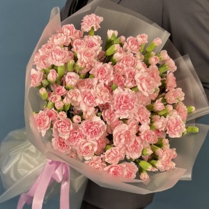 51 кустовая нежно-розовая гвоздика