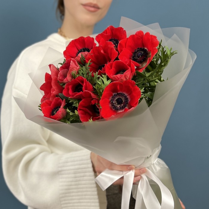 11 красных анемонов