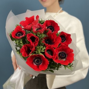 11 красных анемонов
