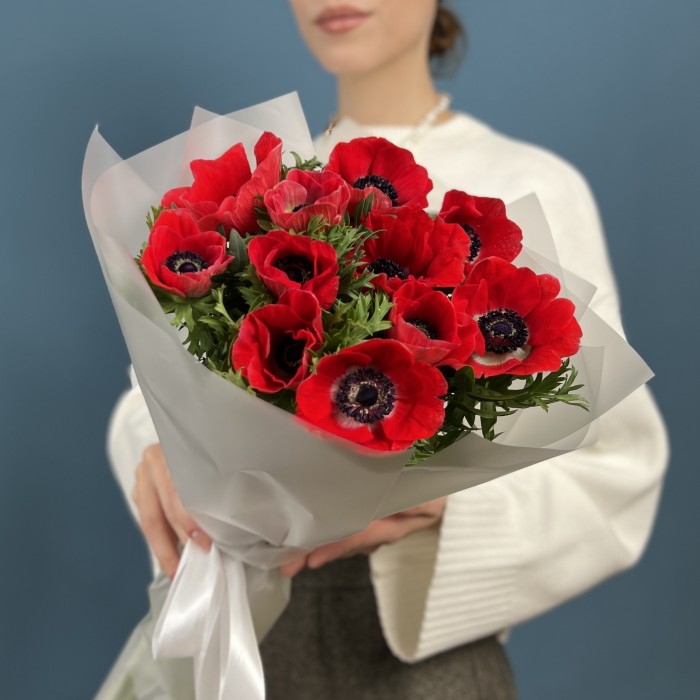 11 красных анемонов