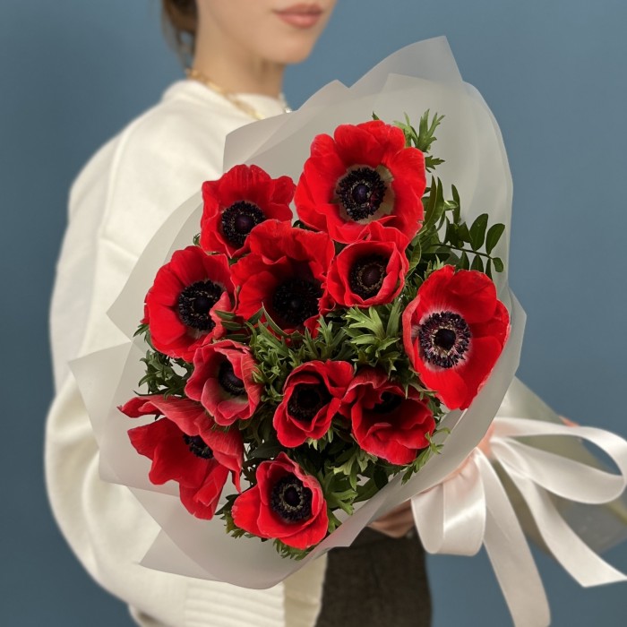 11 красных анемонов