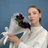 3 фиолетовых анемона