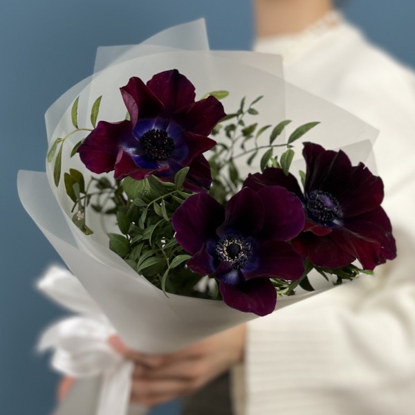 3 фиолетовых анемона