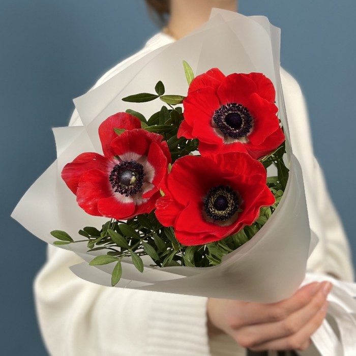 3 красных анемона