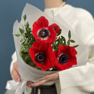 3 красных анемона 3 красных анемона