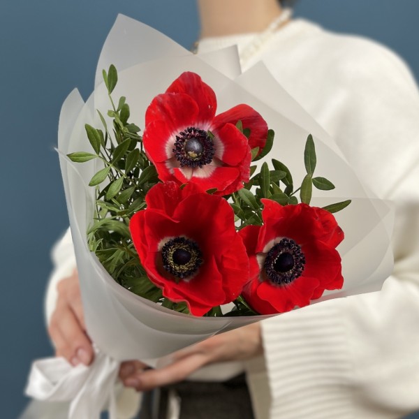 3 красных анемона