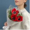 3 красных анемона