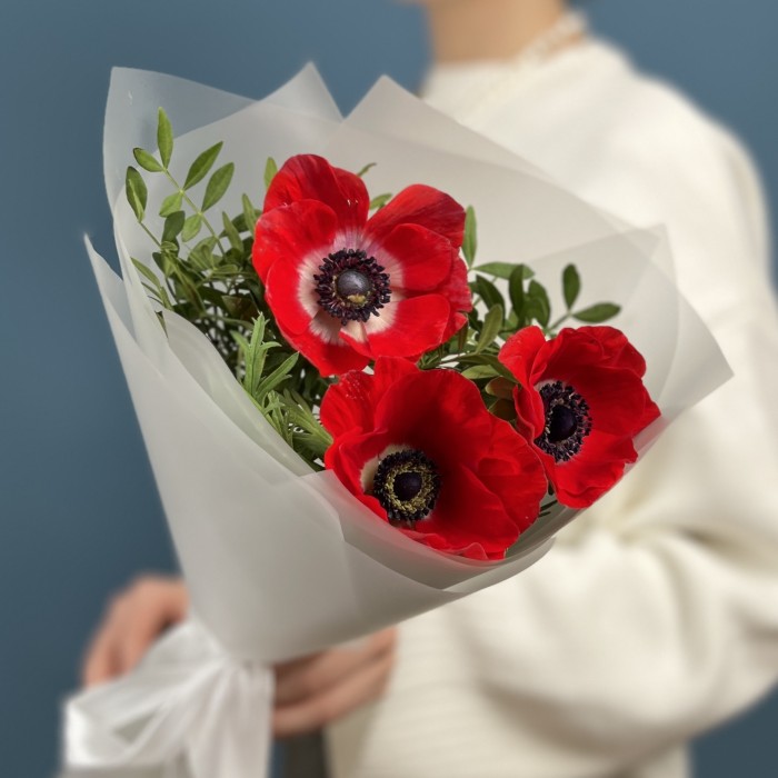 3 красных анемона