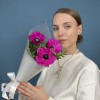 3 малиновых анемона
