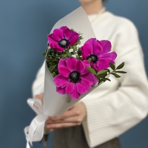 3 малиновых анемона