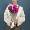 3 малиновых анемона