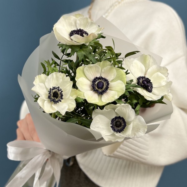 5 белых анемонов