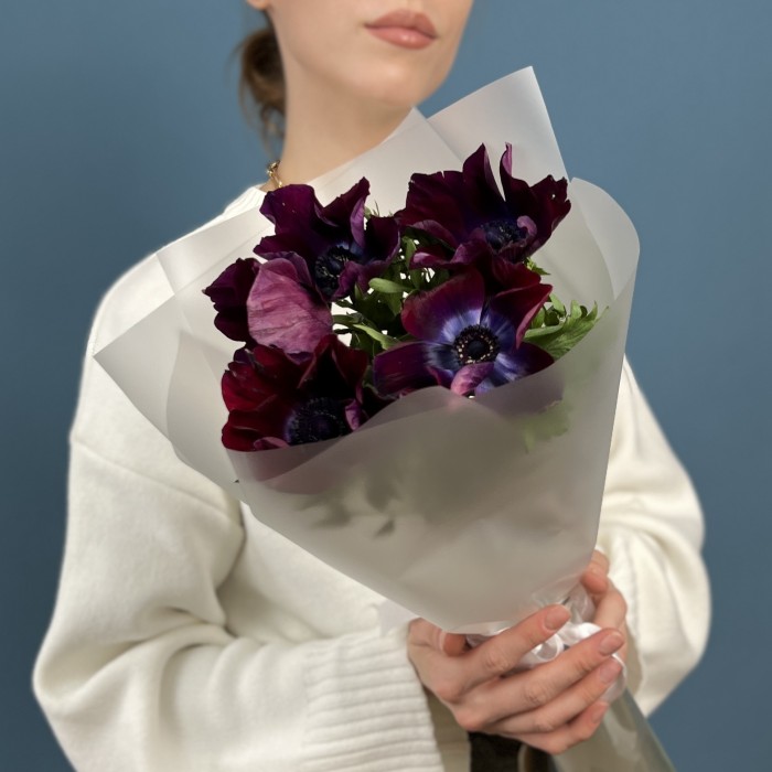 5 фиолетовых анемонов