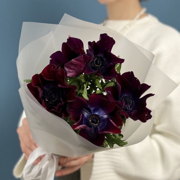 5 фиолетовых анемонов