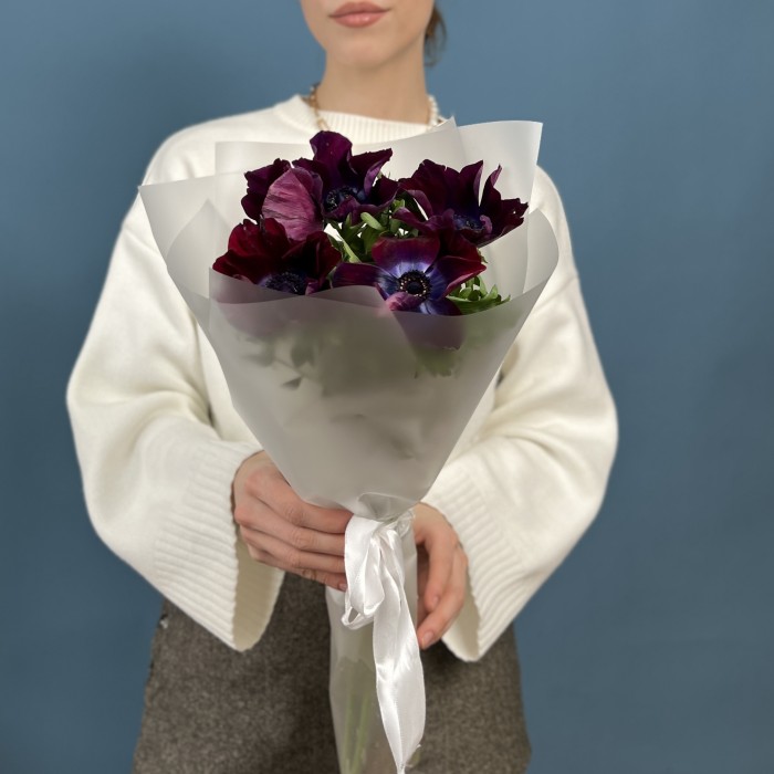 5 фиолетовых анемонов