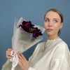 5 фиолетовых анемонов