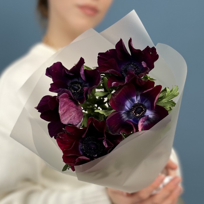 5 фиолетовых анемонов