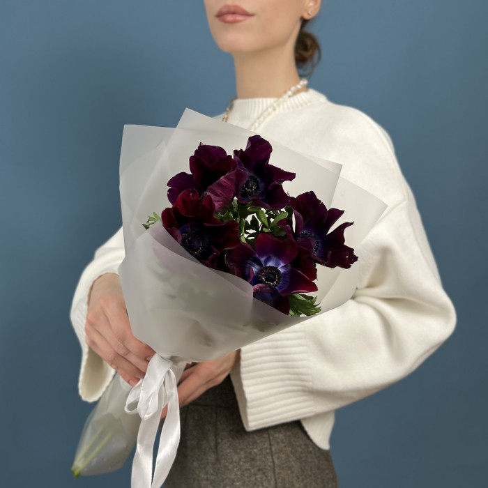 5 фиолетовых анемонов