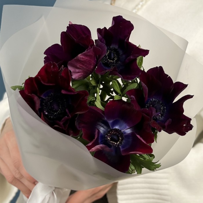 5 фиолетовых анемонов