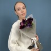 5 фиолетовых анемонов