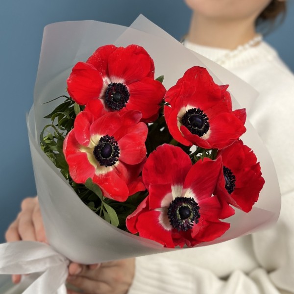 5 красных анемонов