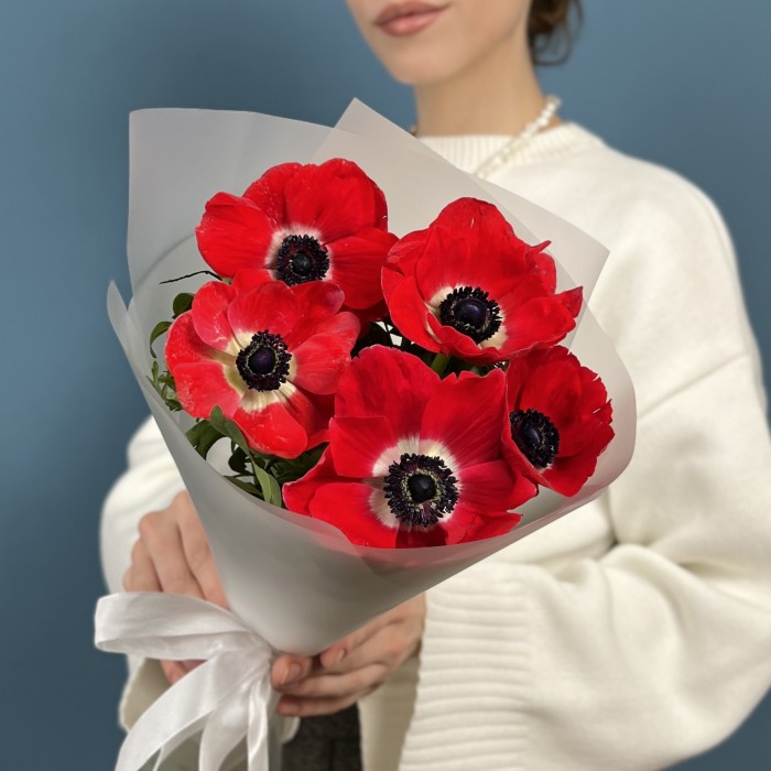 5 красных анемонов