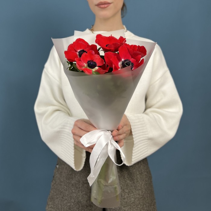 5 красных анемонов