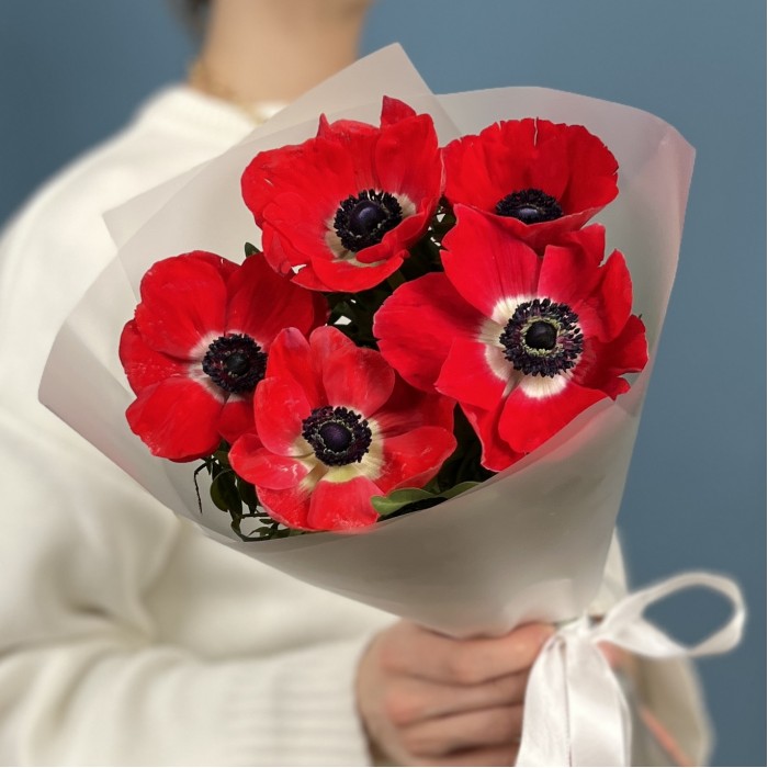 5 красных анемонов