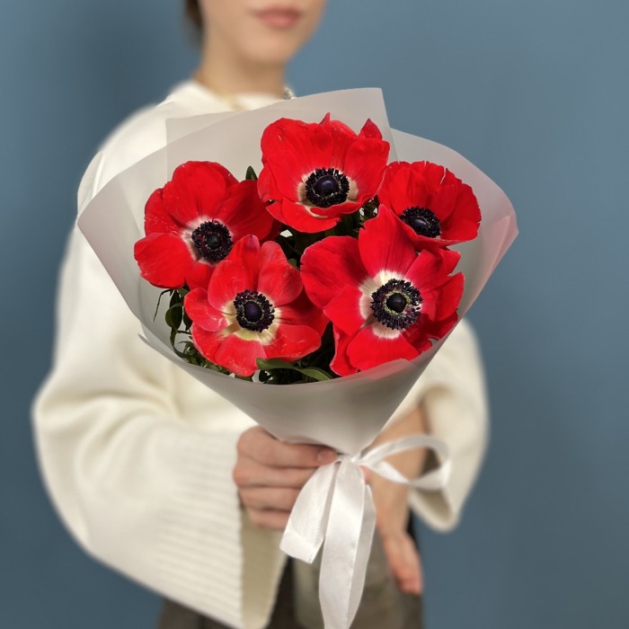 5 красных анемонов