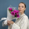 5 малиновых анемонов