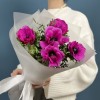 5 малиновых анемонов