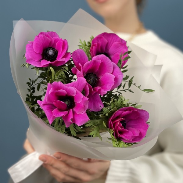 5 малиновых анемонов