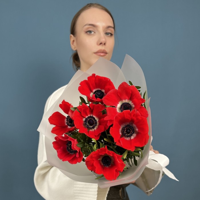 7 красных анемонов