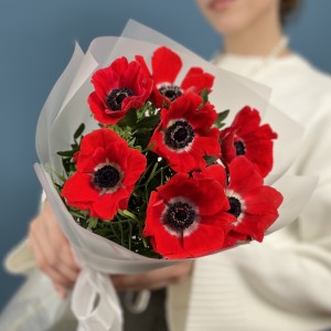 7 красных анемонов