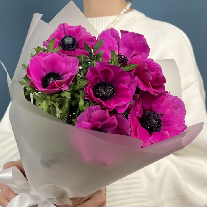 7 малиновых анемонов