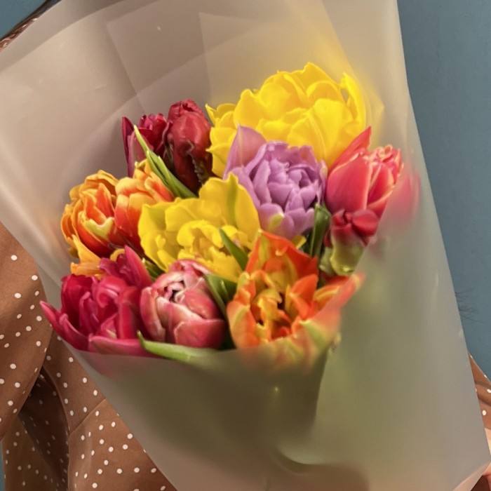 11 пионовидных тюльпанов микс