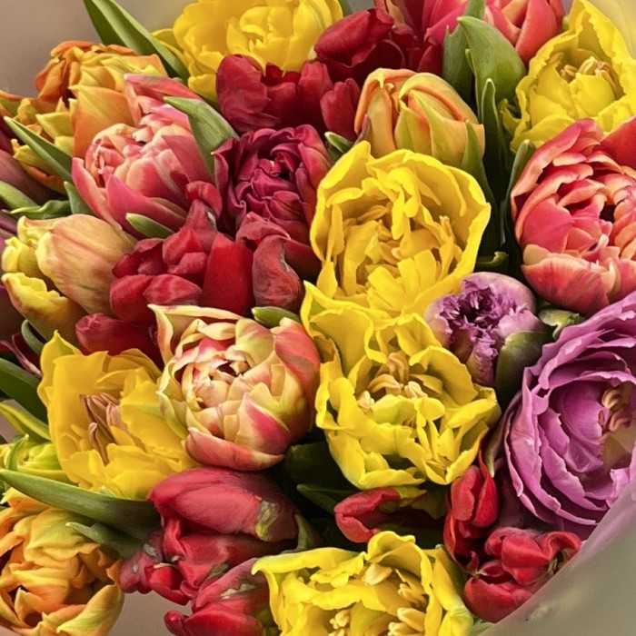25 пионовидных тюльпанов микс