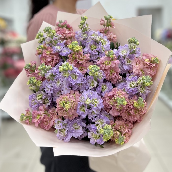 25 нежных маттиол