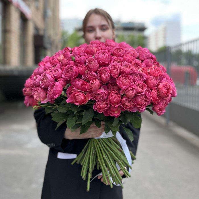 101 кустовая пионовидная роза Вишневая Джульетта