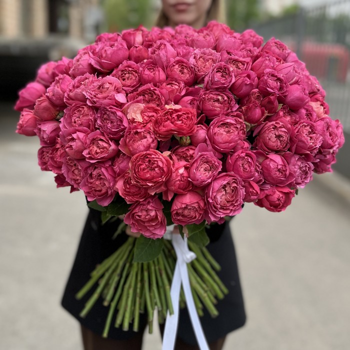 101 кустовая пионовидная роза Вишневая Джульетта