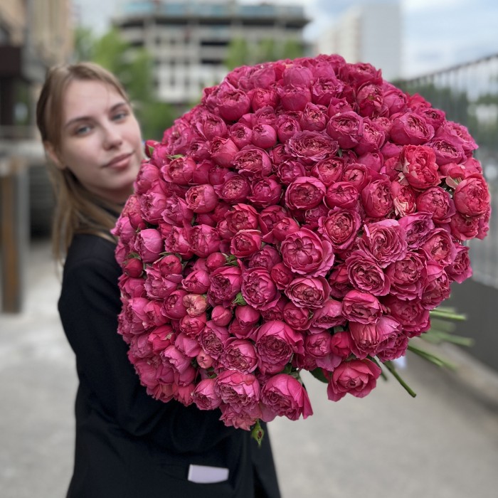 101 кустовая пионовидная роза Вишневая Джульетта