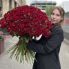101 кустовая красная роза Рубикон 60 см