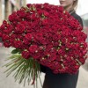 101 кустовая красная роза Рубикон 60 см