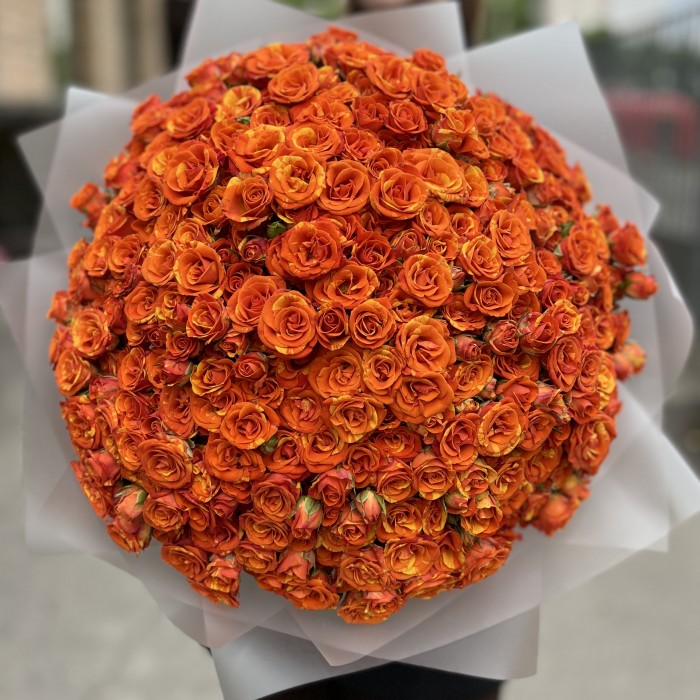 101 огненная кустовая Роза Смэшинг 40 см