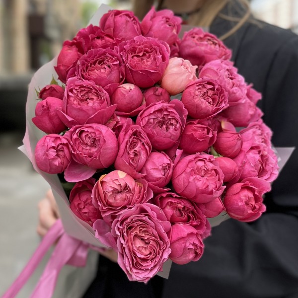 11 кустовых пионовидных роз Вишневая Джульетта