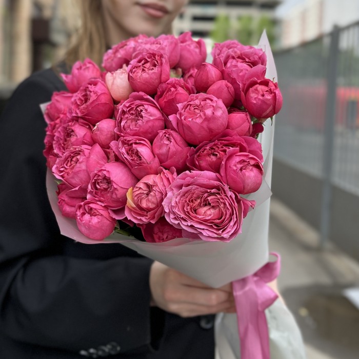 11 кустовых пионовидных роз Вишневая Джульетта