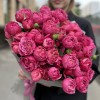 15 кустовых пионовидных роз Вишневая Джульетта