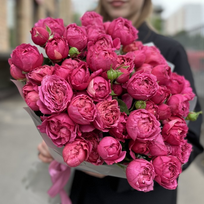 15 кустовых пионовидных роз Вишневая Джульетта