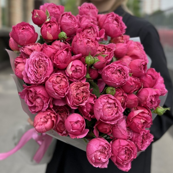 15 кустовых пионовидных роз Вишневая Джульетта